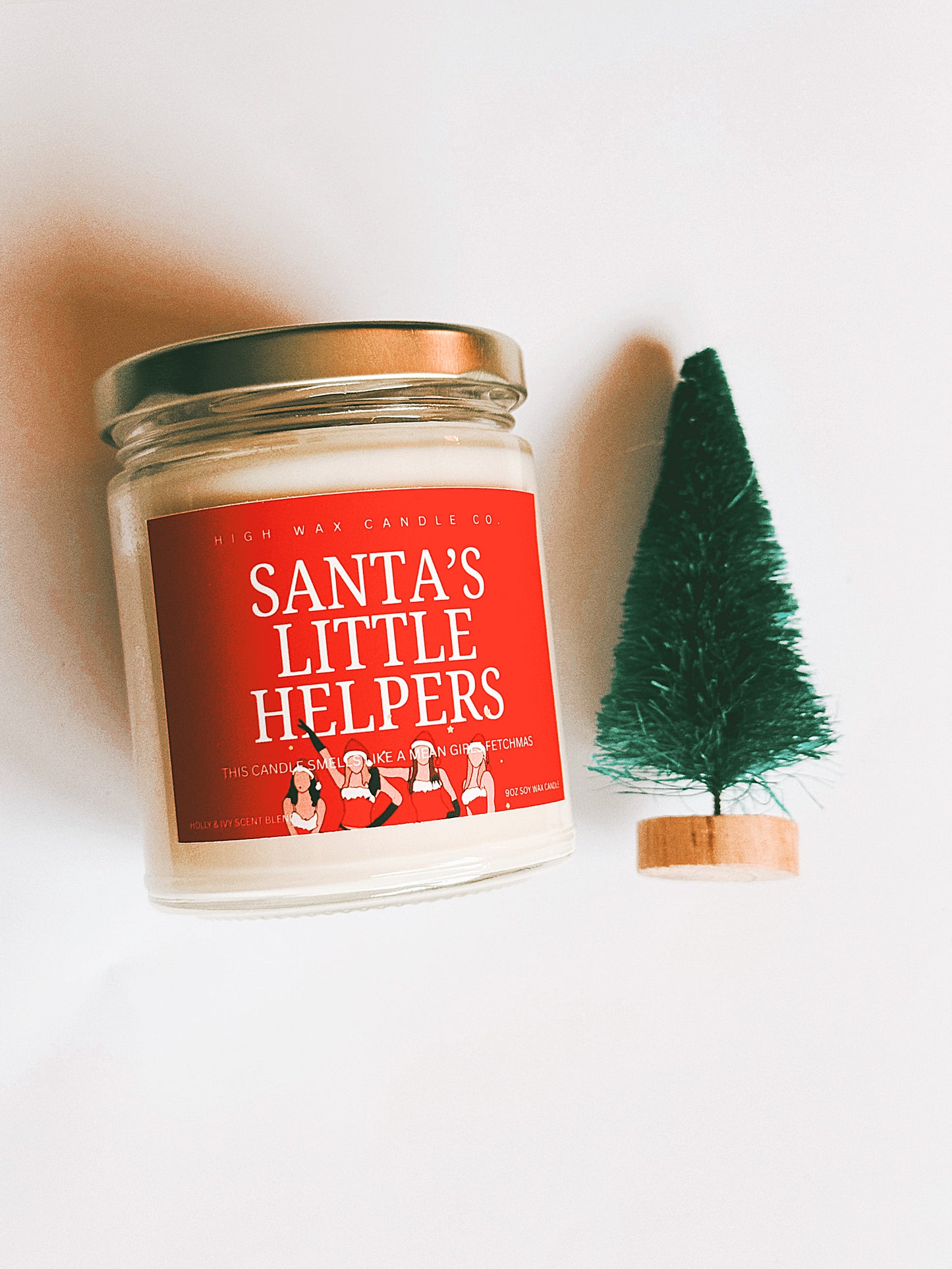 9oz conversation candles - Holly & Ivy