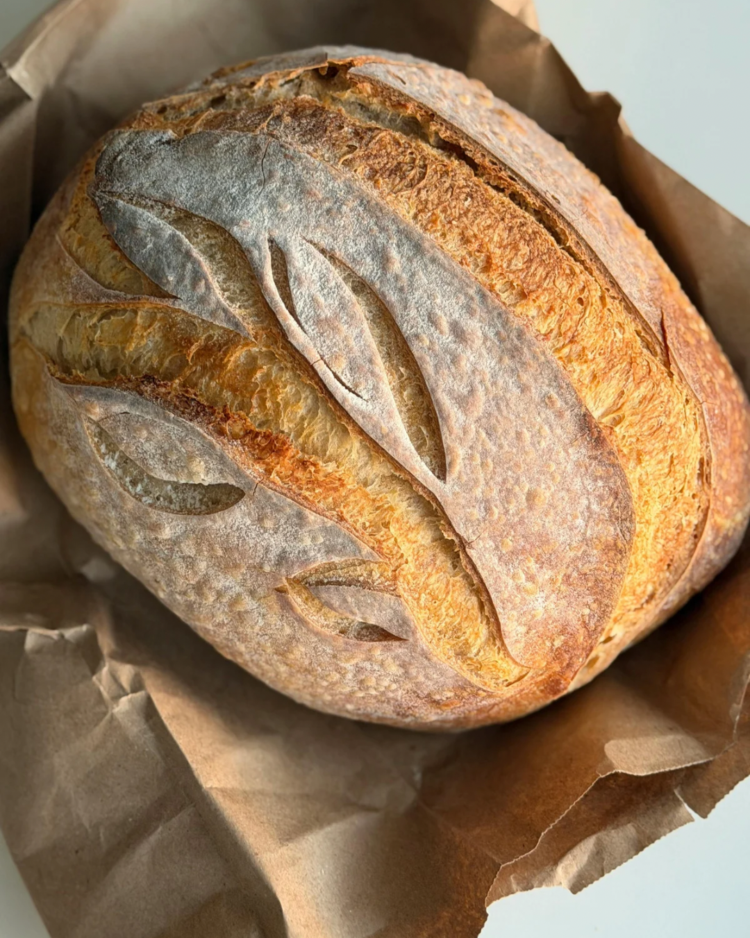 Fresh Sourdough Bread