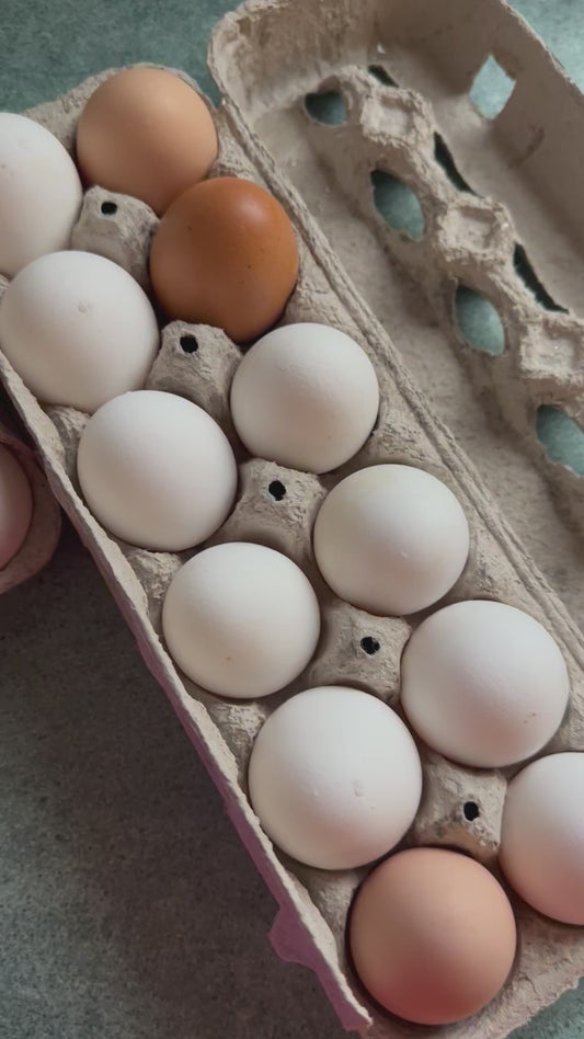 Farm Fresh LARGE/XL Eggs - pre washed & assorted brown & white