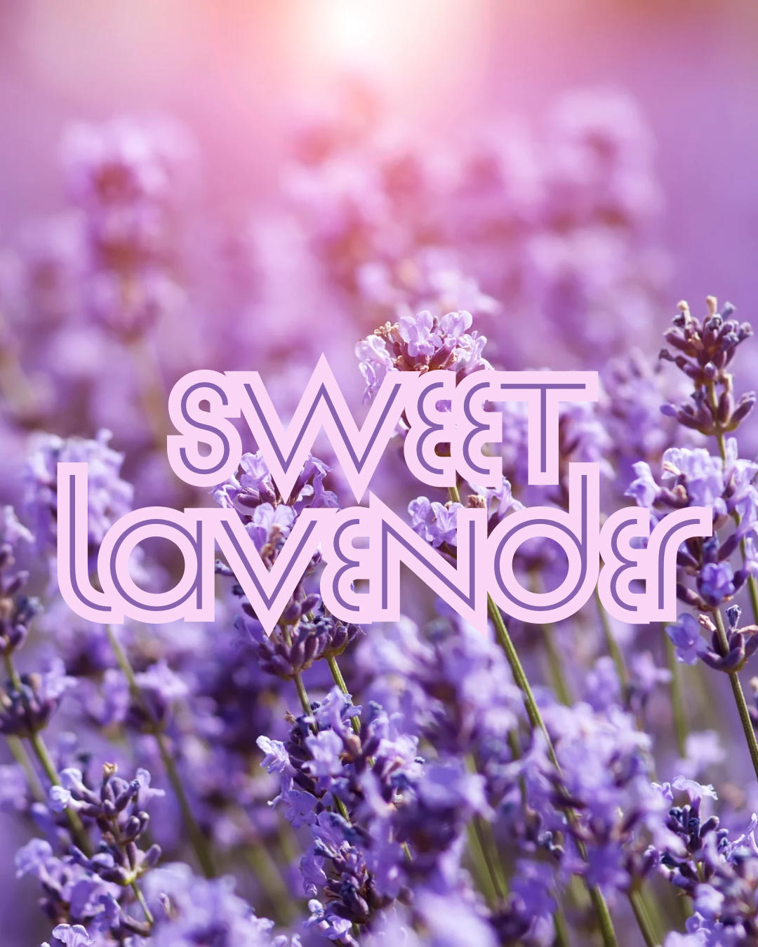 Wax melt bars - lavendar